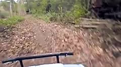 Thai Teen Peru to Ecuador horses to creampies