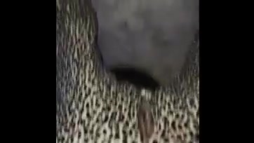 Chick cheating on husband again
